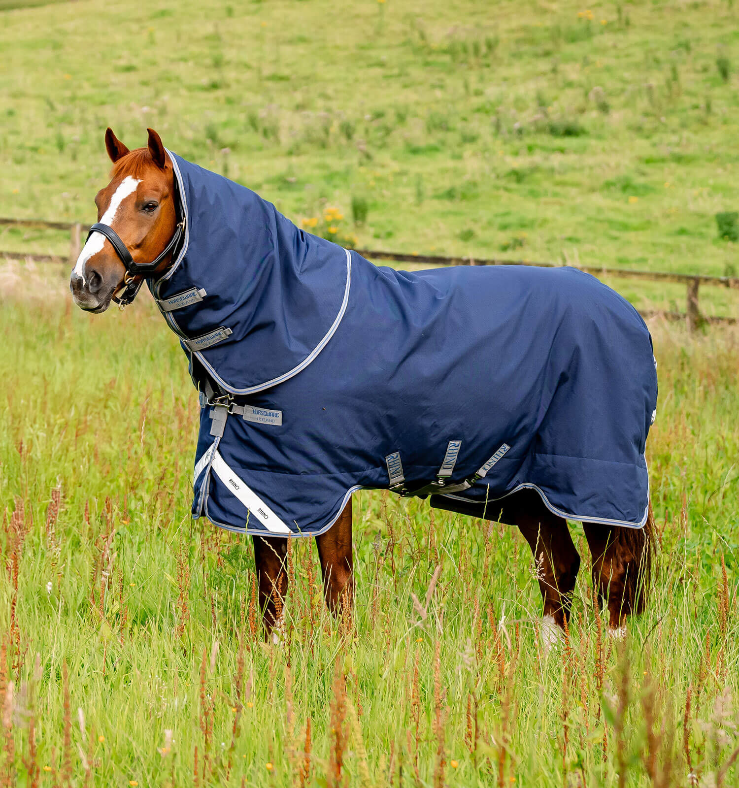Horse Blankets