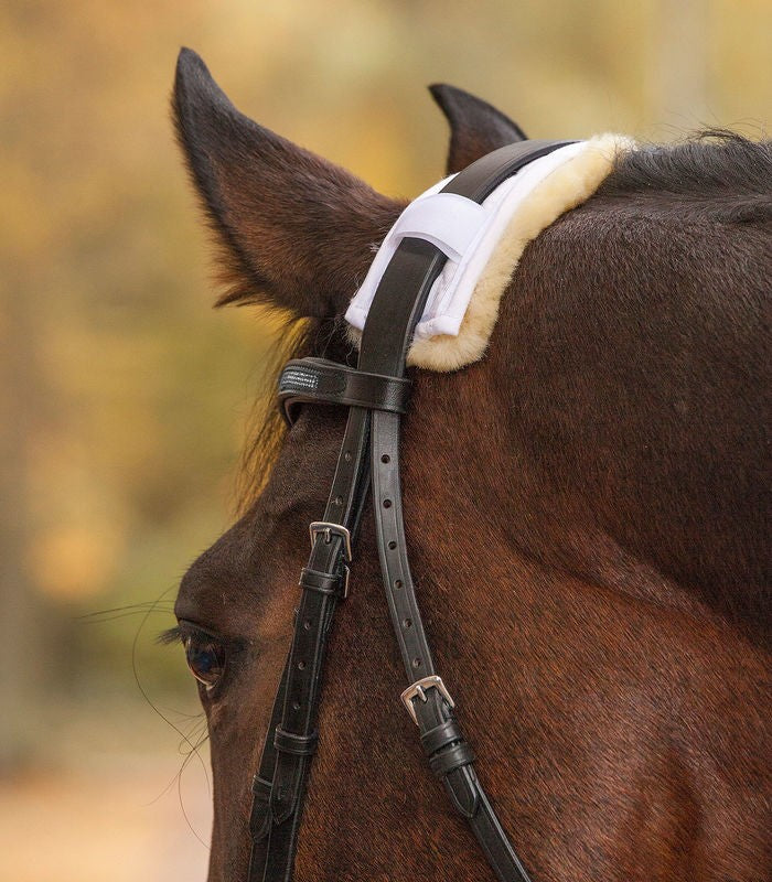 Halter Accessories