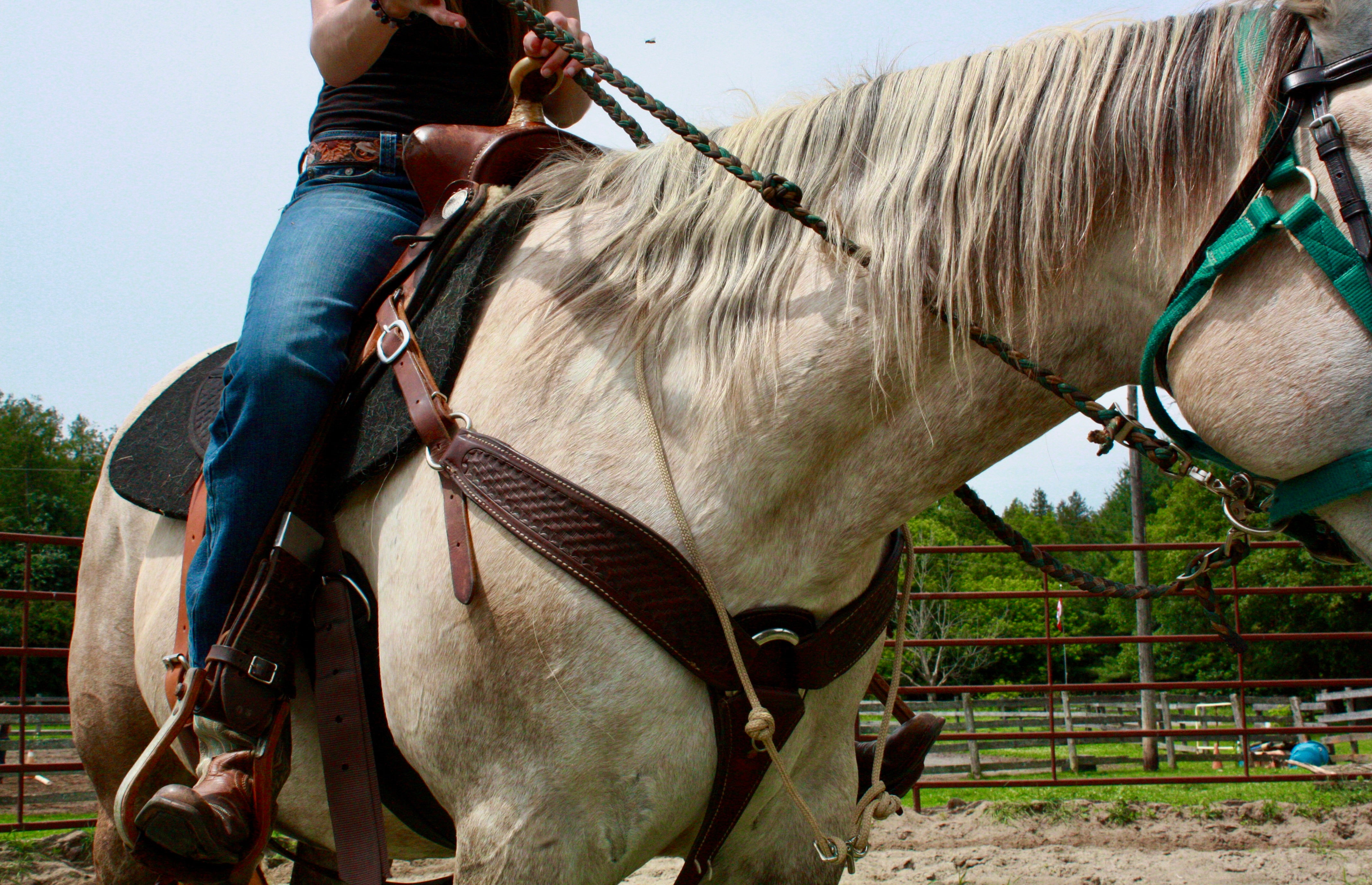 Western Saddle Parts & Accessories