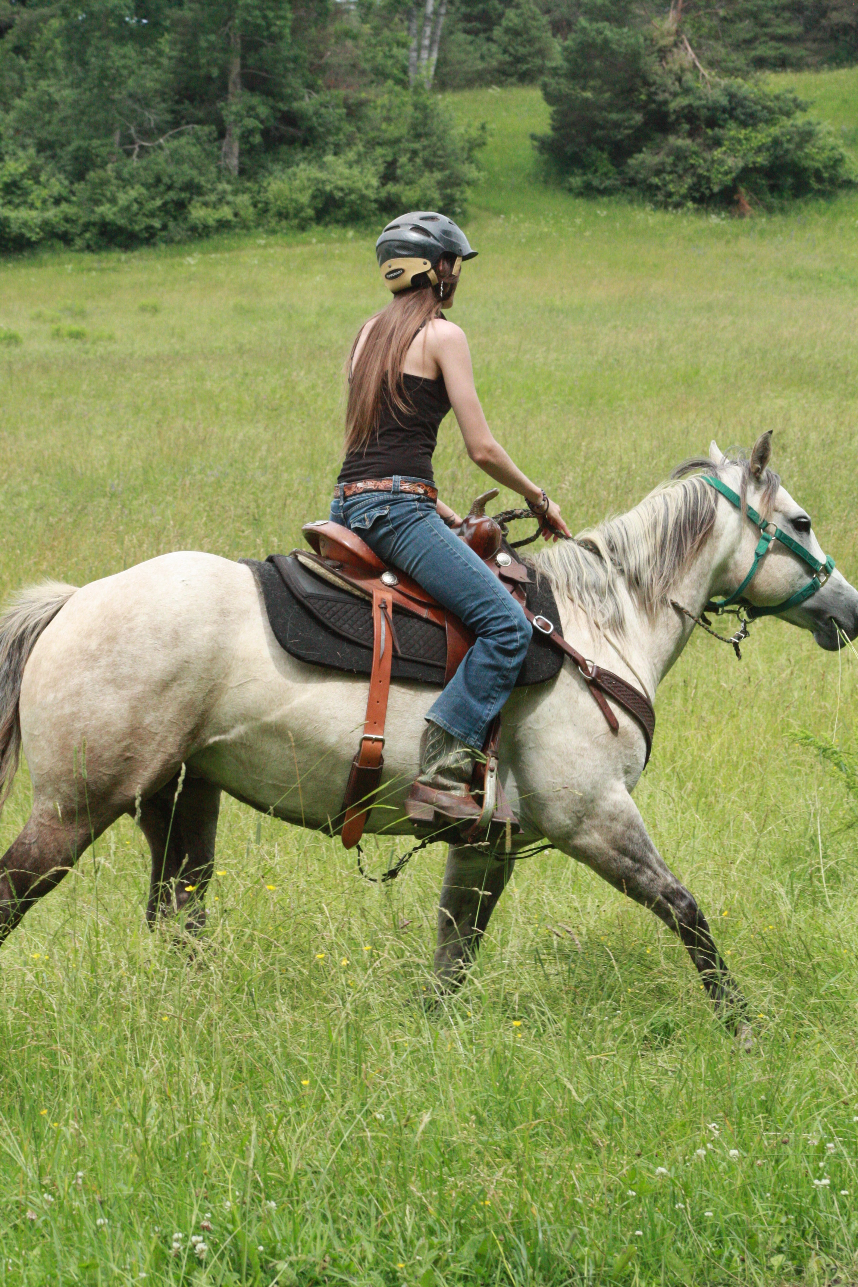 Western Saddle Pads