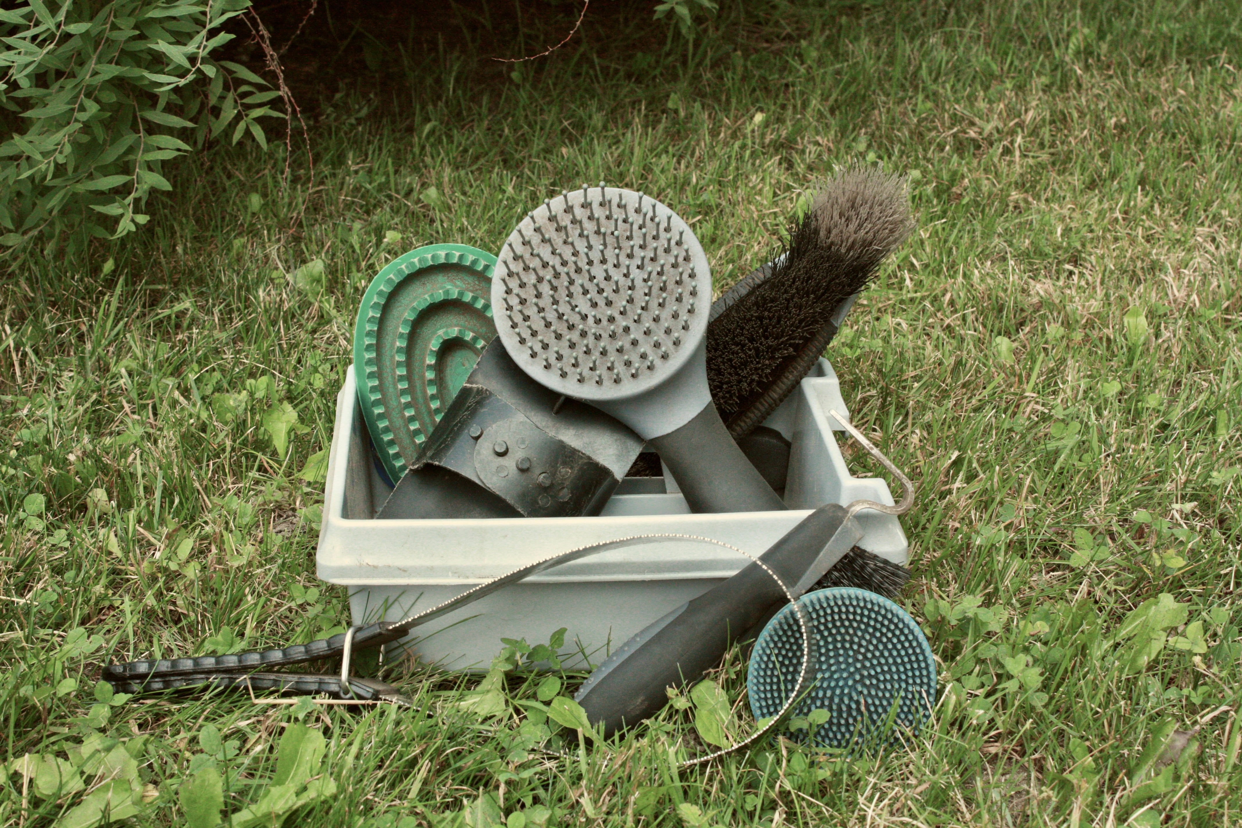 Brushes & Hoof Picks