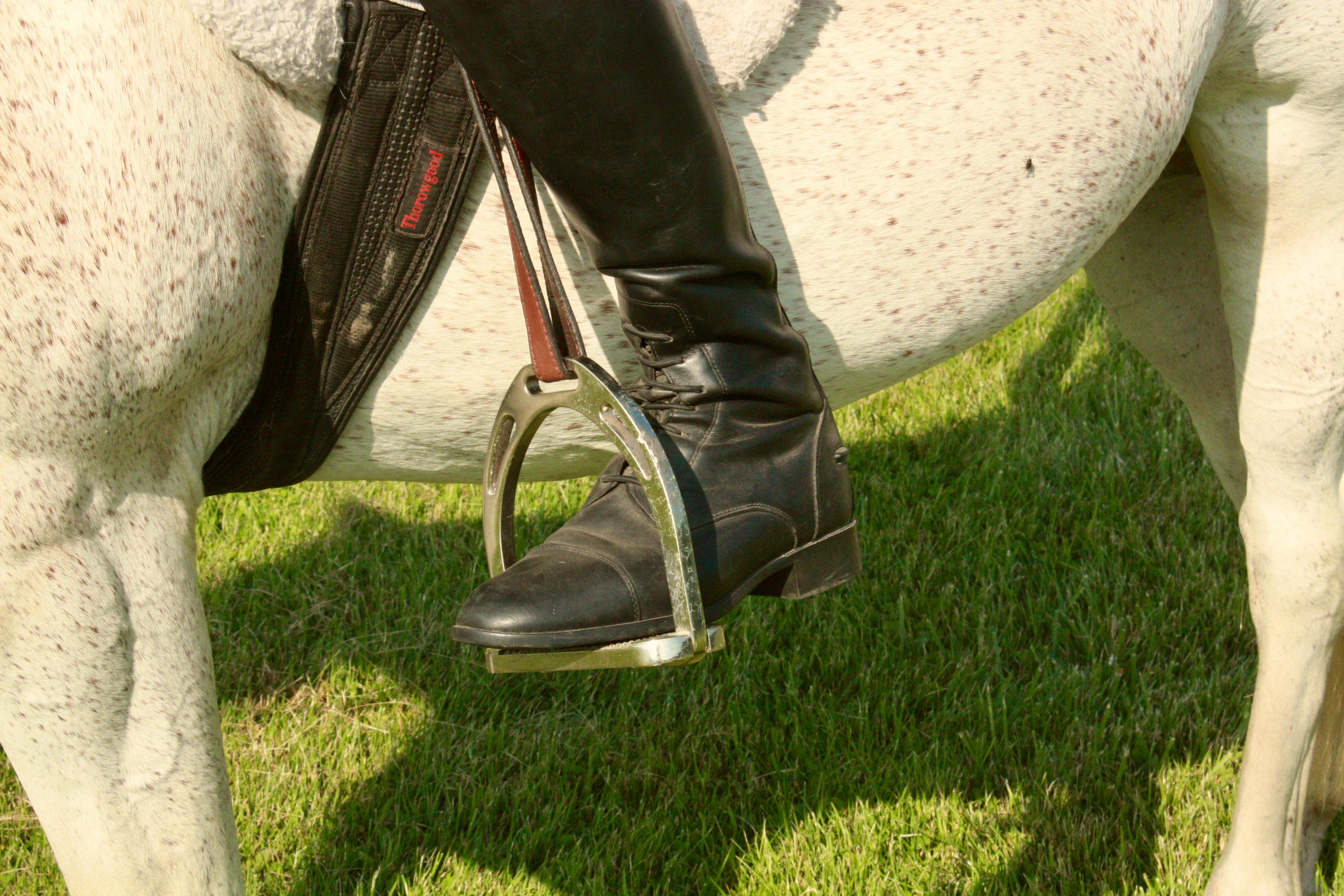 English Stirrup Irons