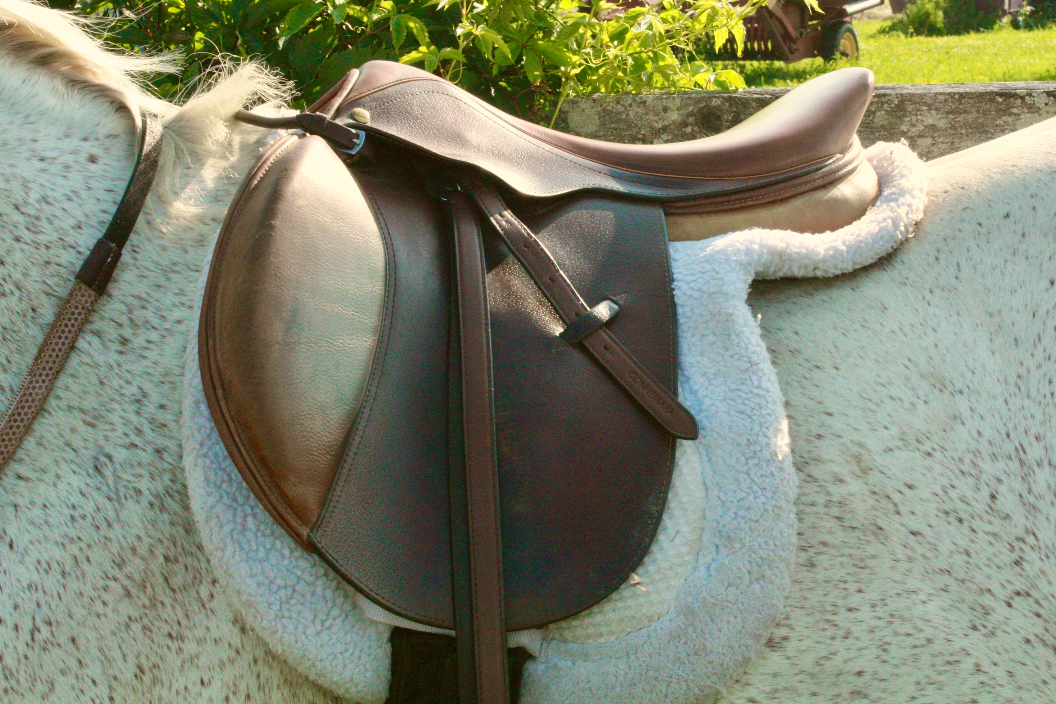 English Stirrup Leathers