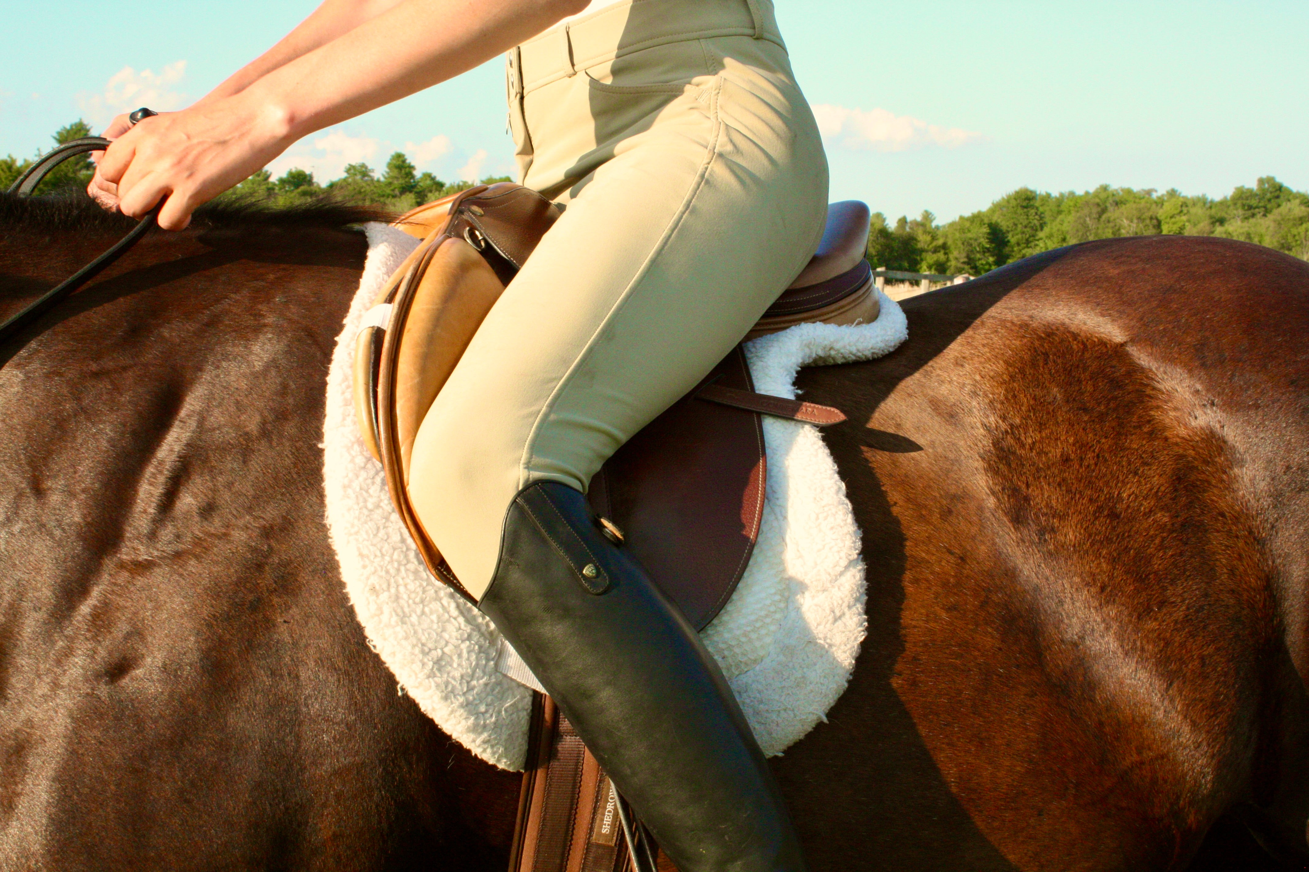 Shaped Saddle Pads
