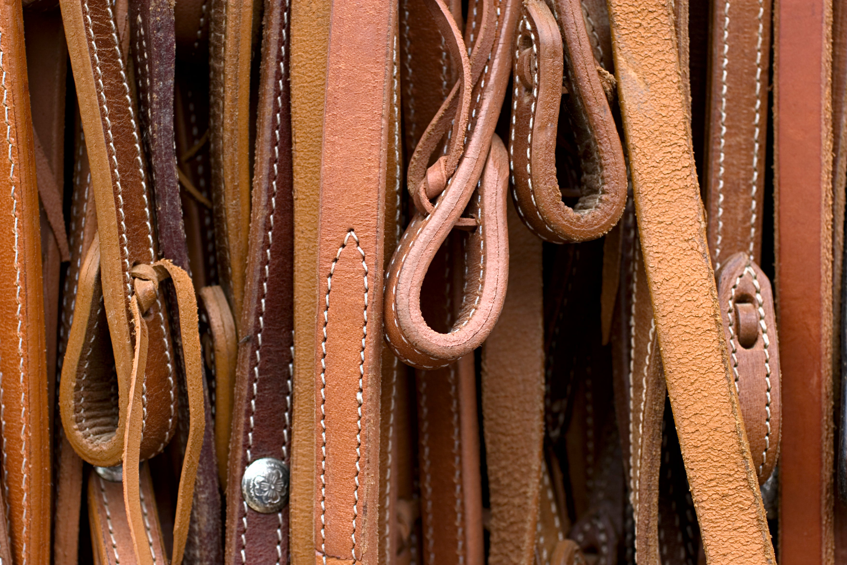 Western Reins