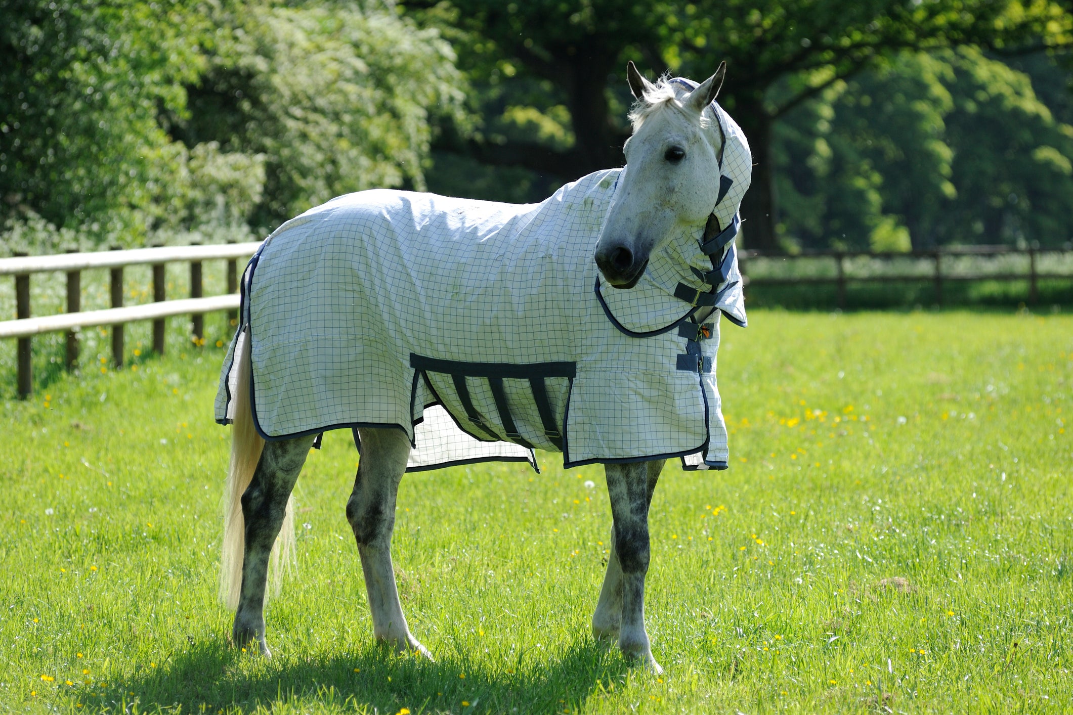 Fly Sheets
