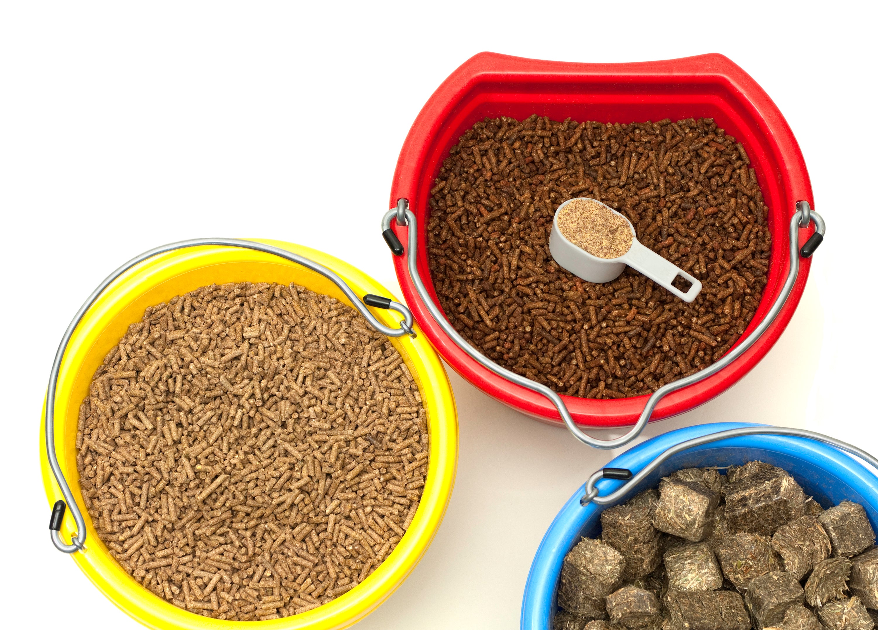 Equine Supplements