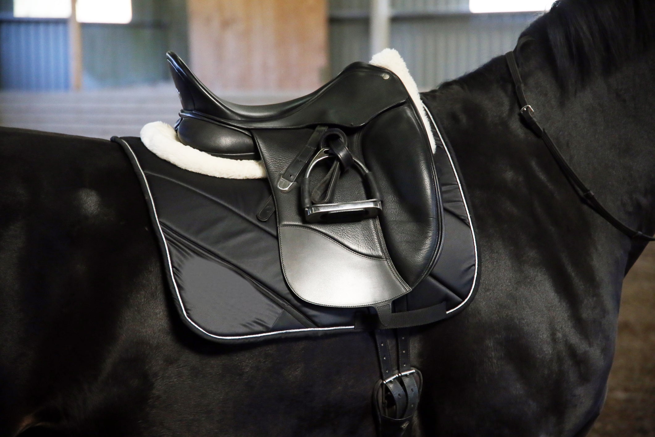 Dressage Saddles