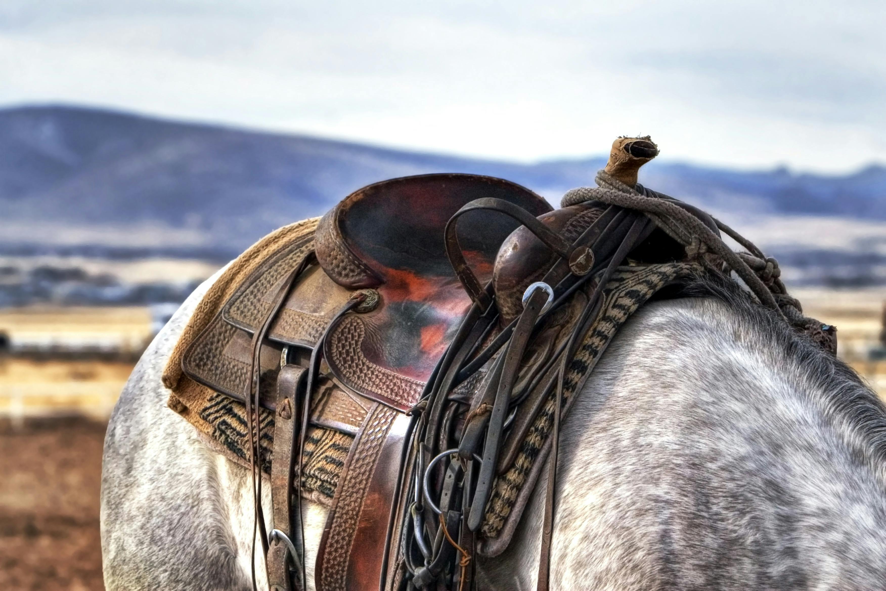 Western Saddle Accessories