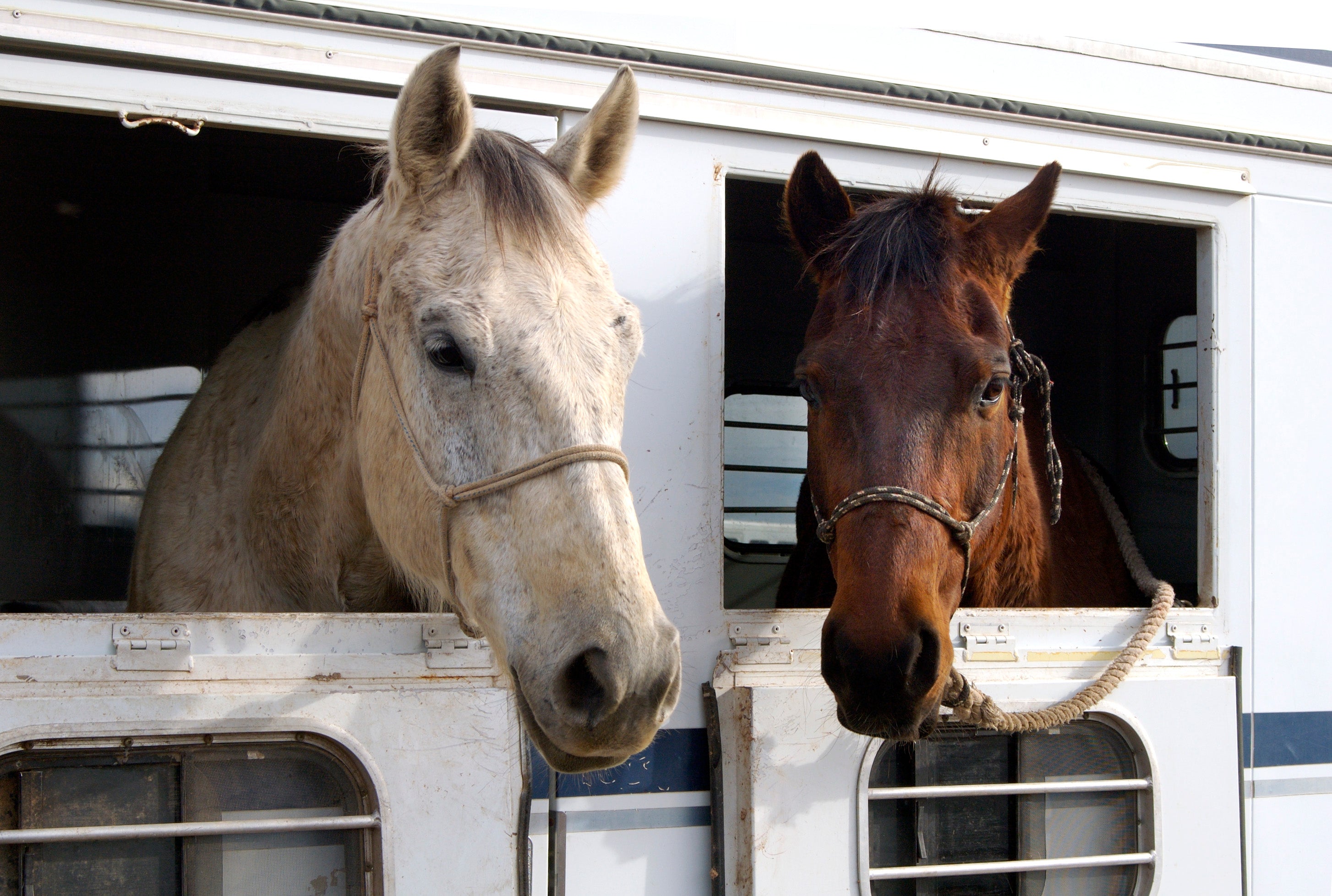 Trailering Supplies