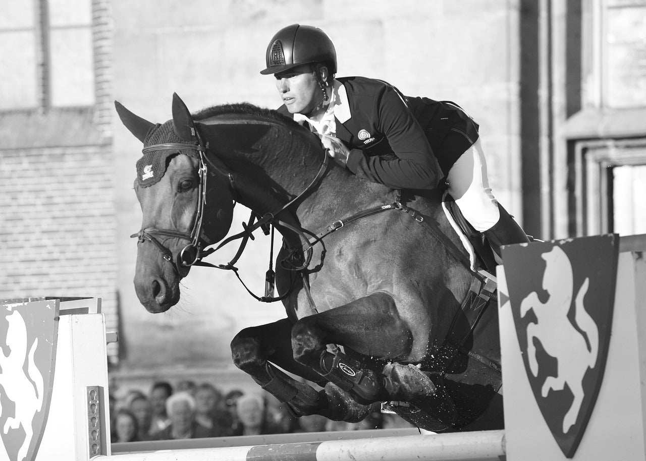 Jumper Bridles