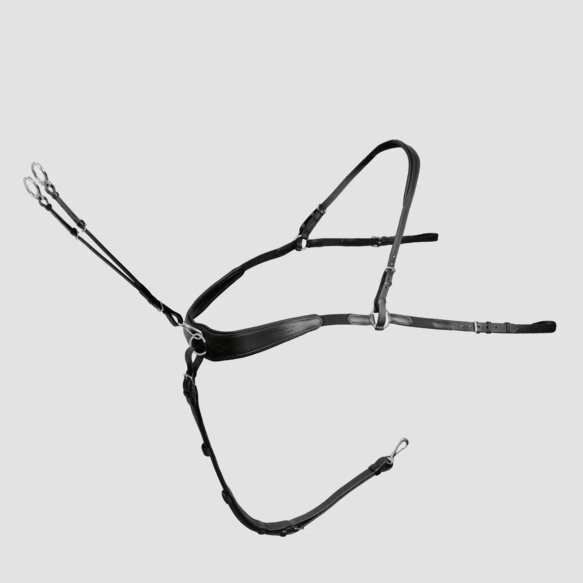 Passier Boundless Breastplate powered by Julia Krajewski
