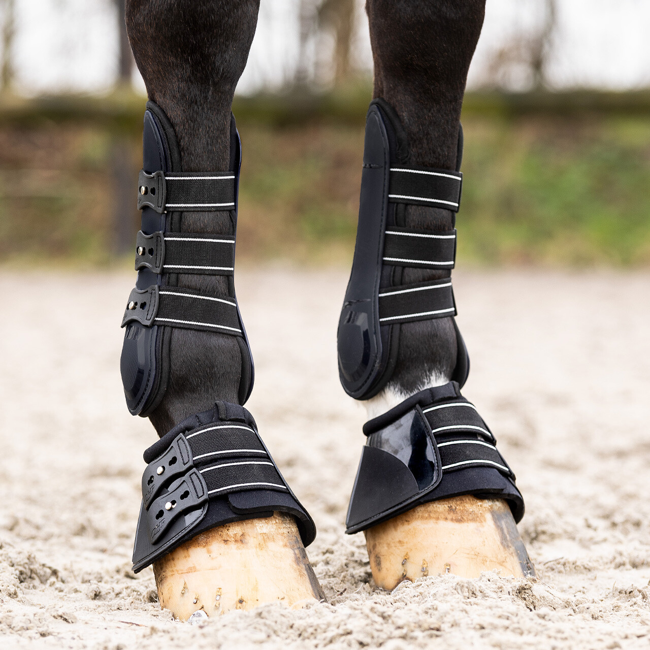 QHP Champion Bell Boots