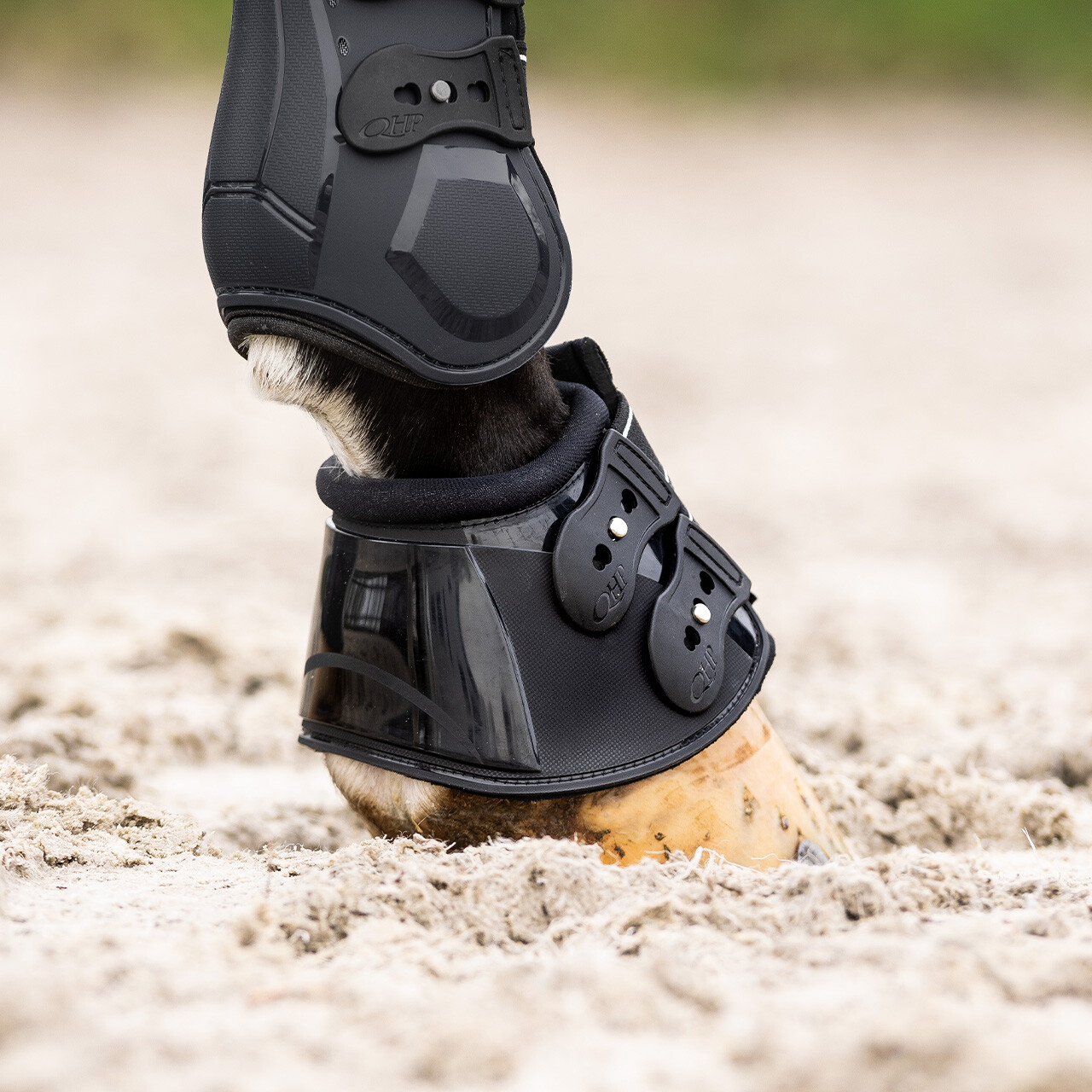 QHP Champion Bell Boots
