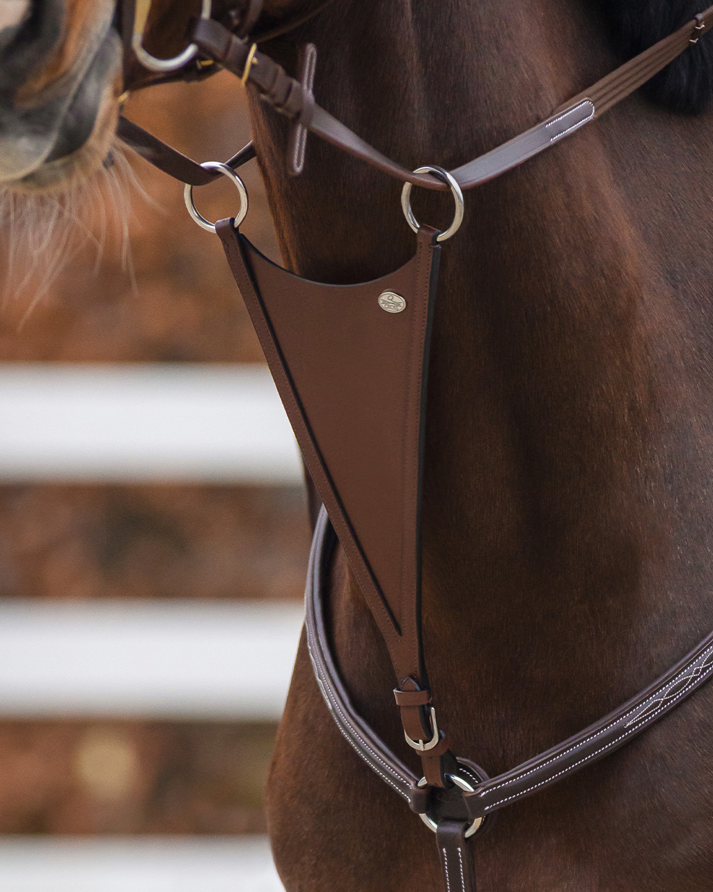 QHP Closed Martingale Fork