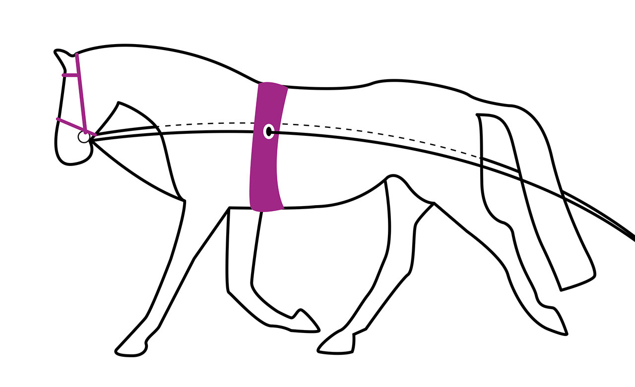 QHP Double Lunge Line