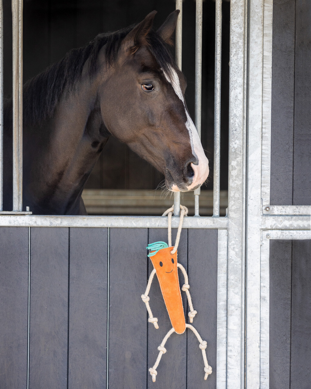 QHP Horse Toy