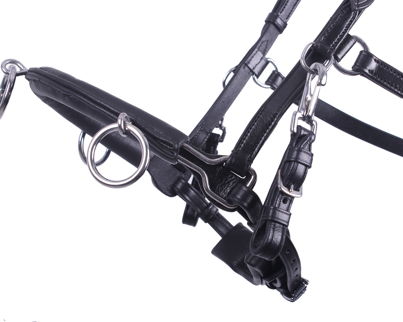 QHP Leather Lunging Cavesson