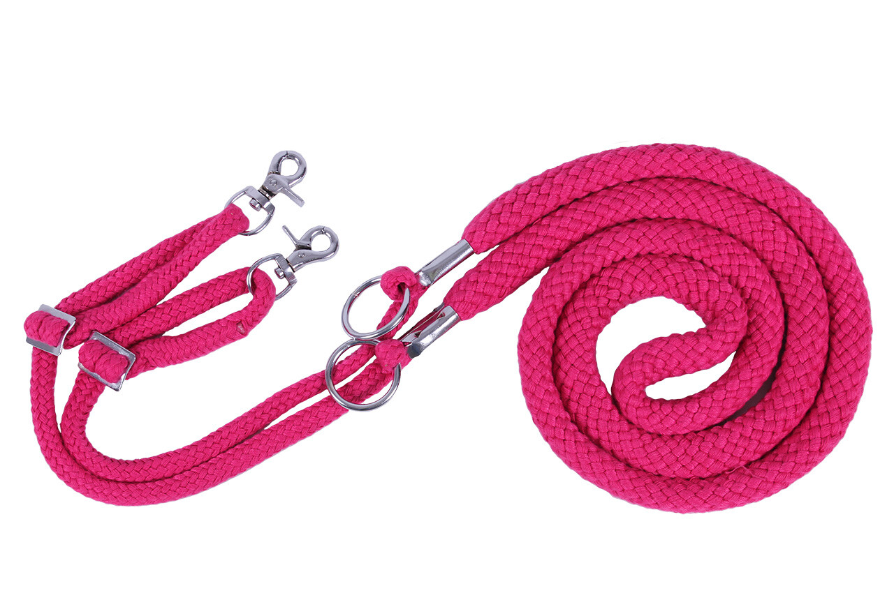 QHP Lunging Aid