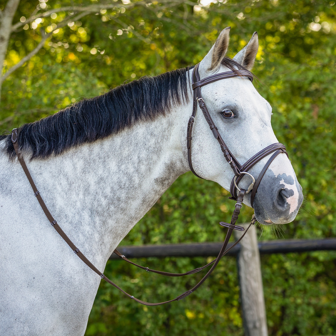 QHP Luxury Fancy Stitched Bridle