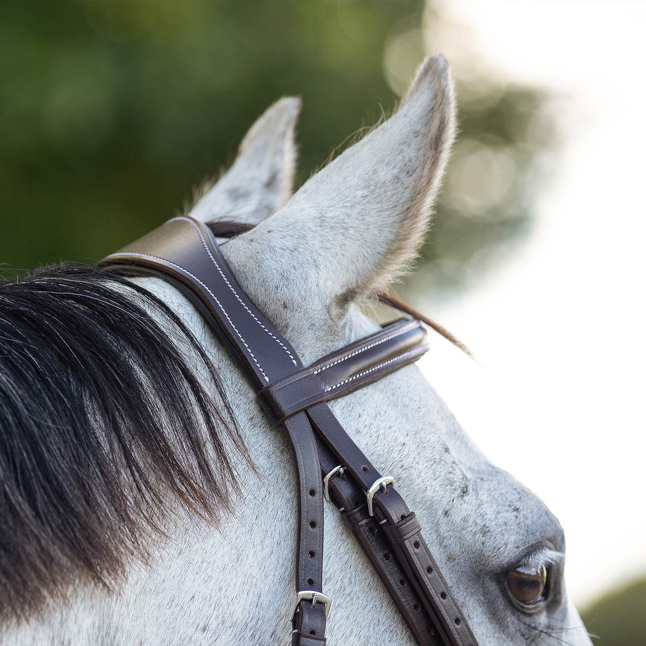 QHP Luxury Fancy Stitched Bridle