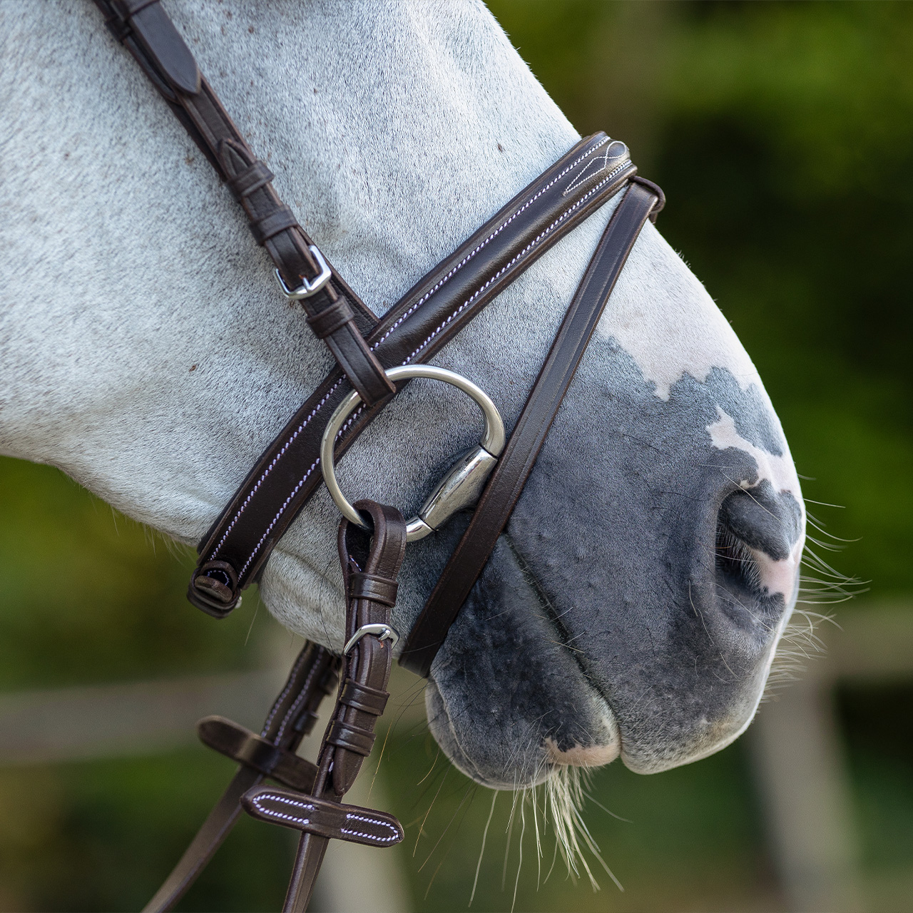 QHP Luxury Fancy Stitched Bridle