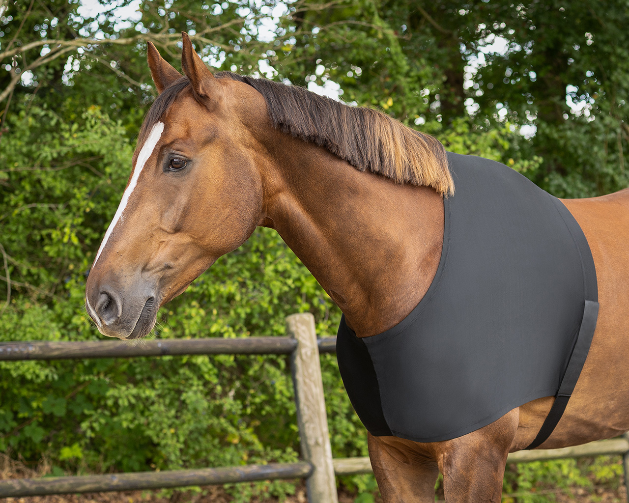 QHP Lycra Chest Protector
