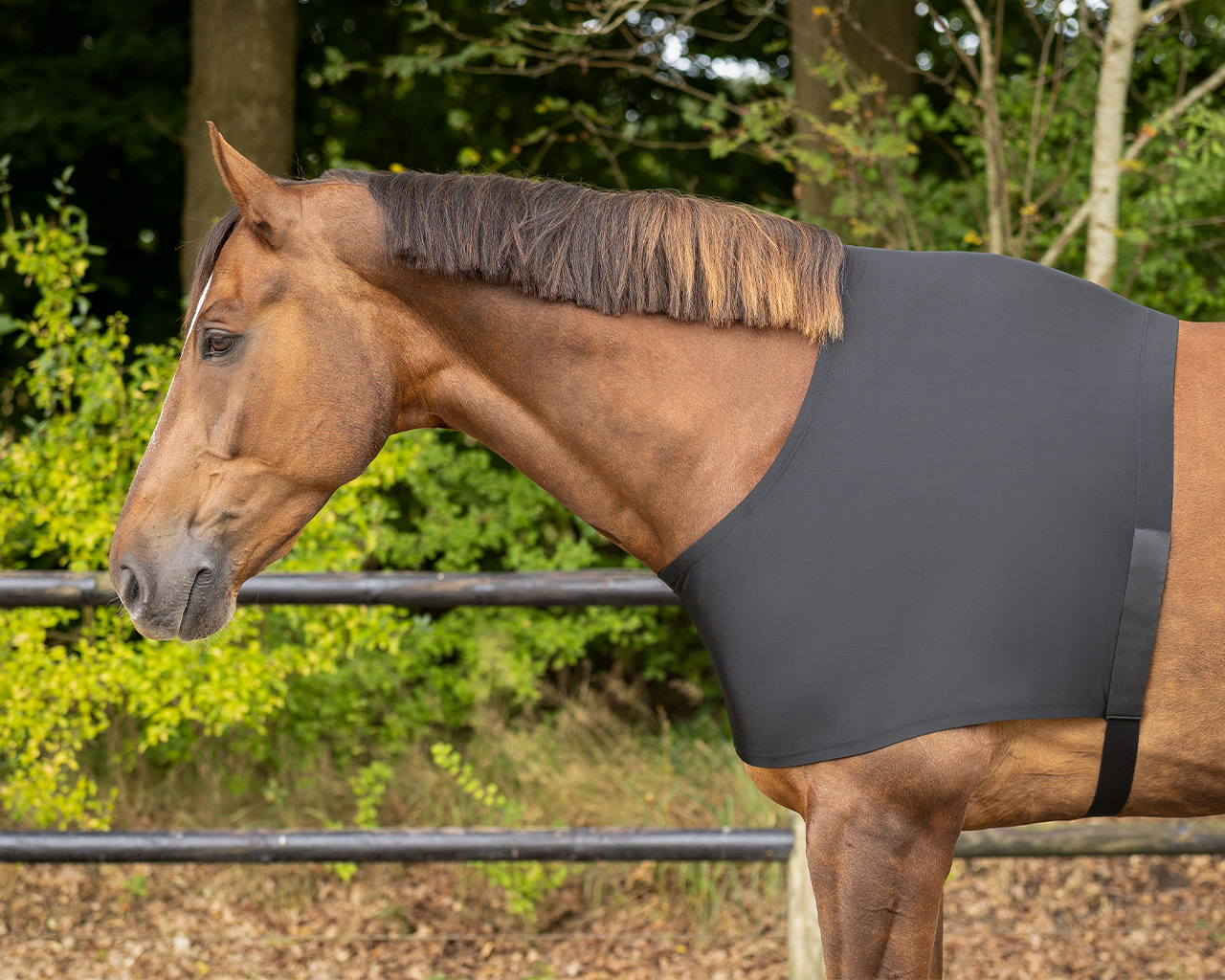 QHP Lycra Chest Protector