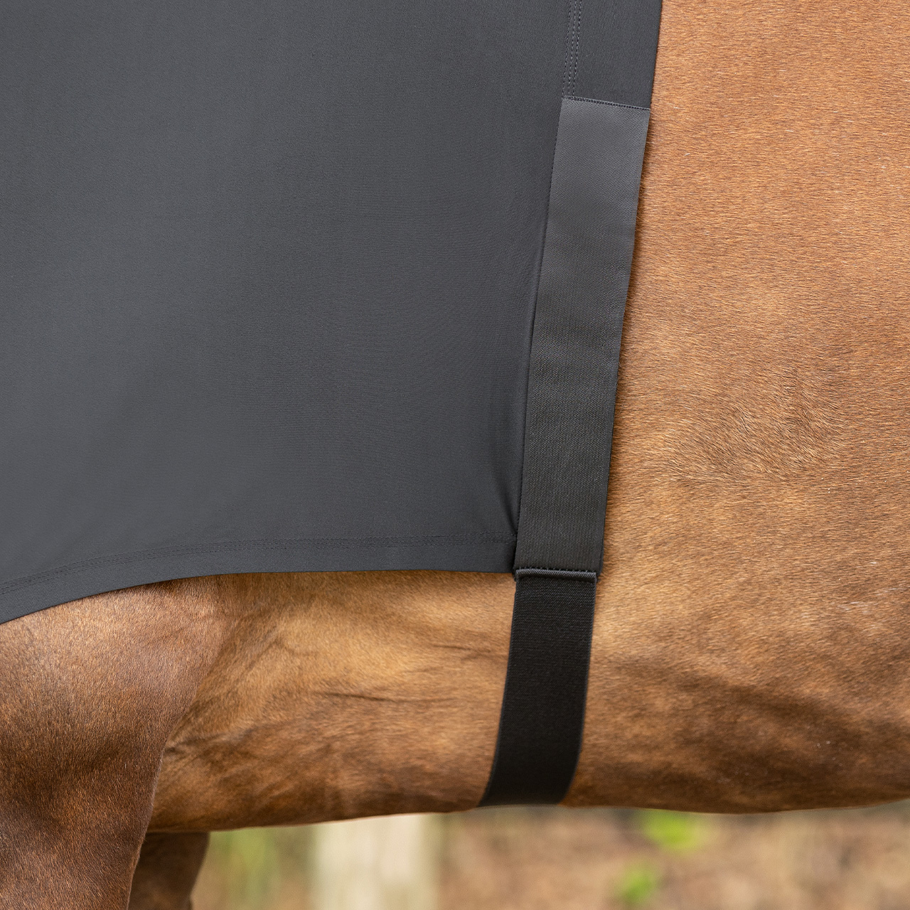 QHP Lycra Chest Protector