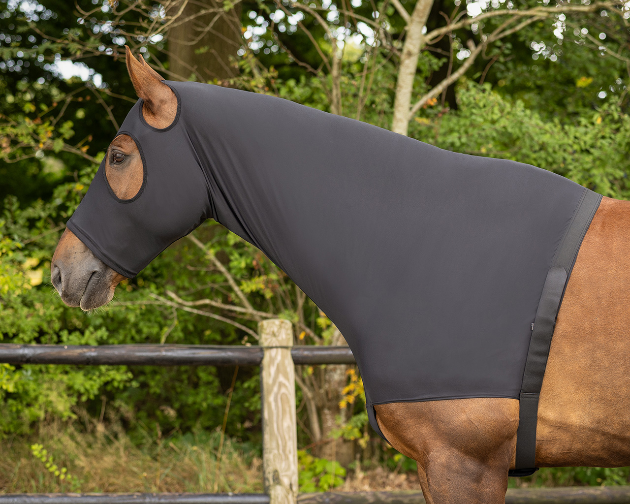 QHP Lycra Hood