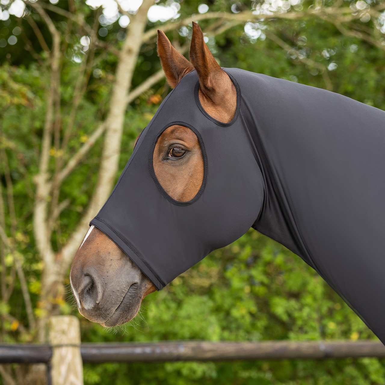 QHP Lycra Hood