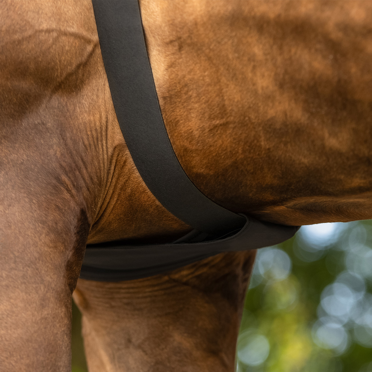 QHP Lycra Hood