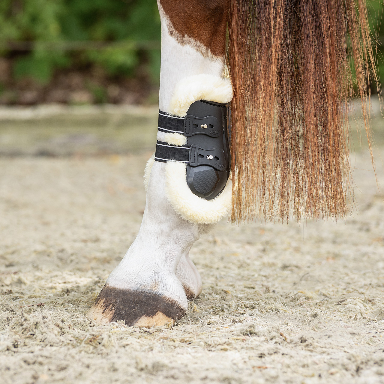 QHP Ontario Fetlock Boots