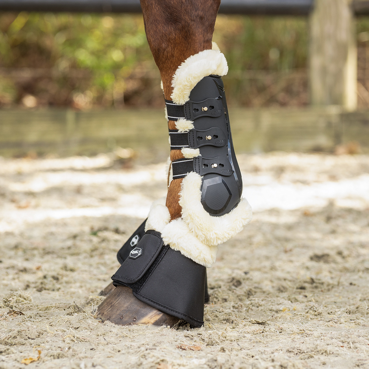 QHP Ontario Tendon Boots