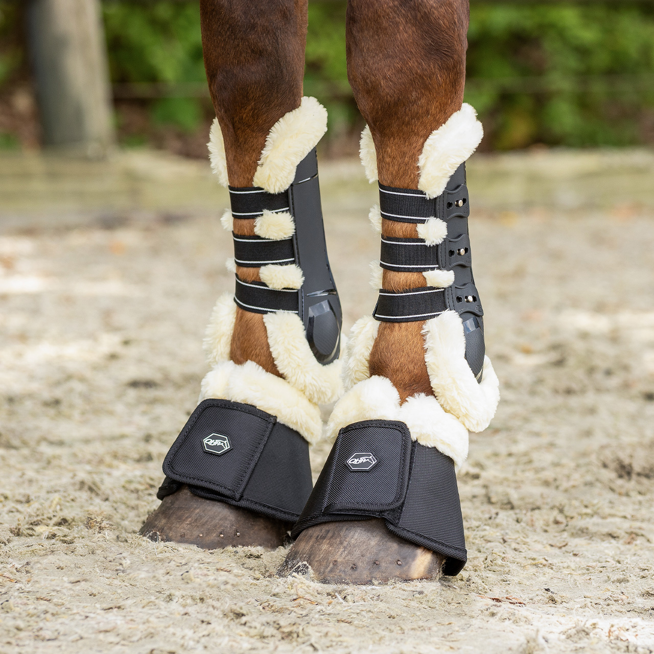 QHP Ontario Tendon Boots