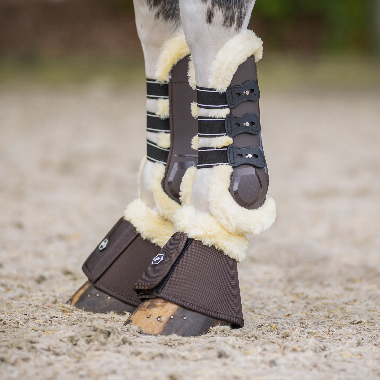 QHP Ontario Tendon Boots
