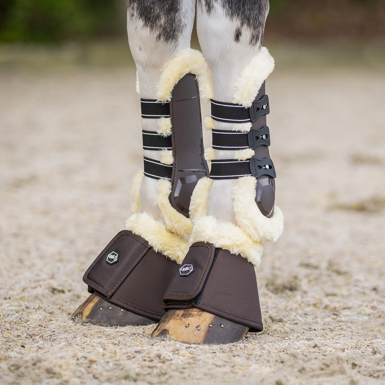 QHP Ontario Tendon Boots