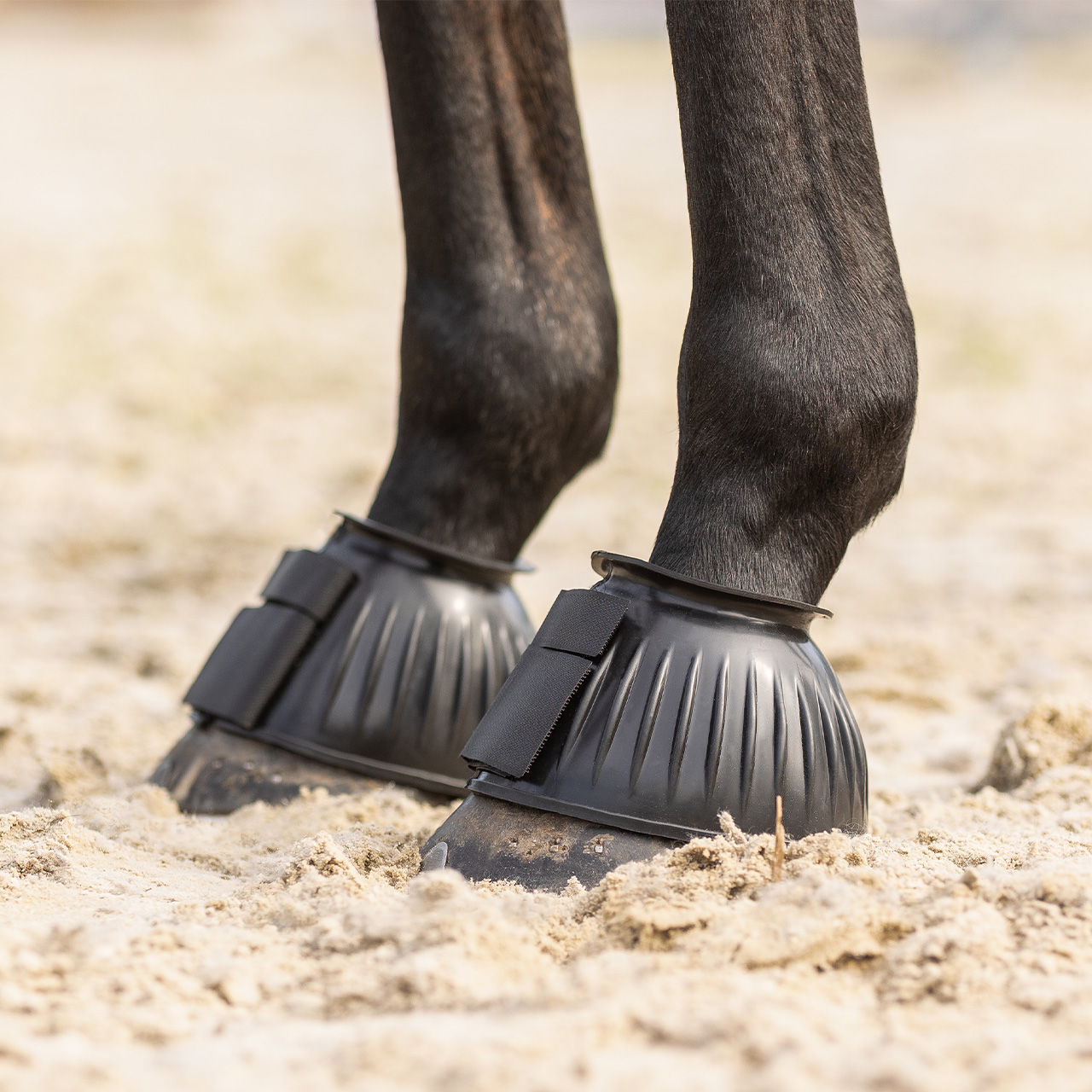 QHP Ribbed Rubber Bell Boot