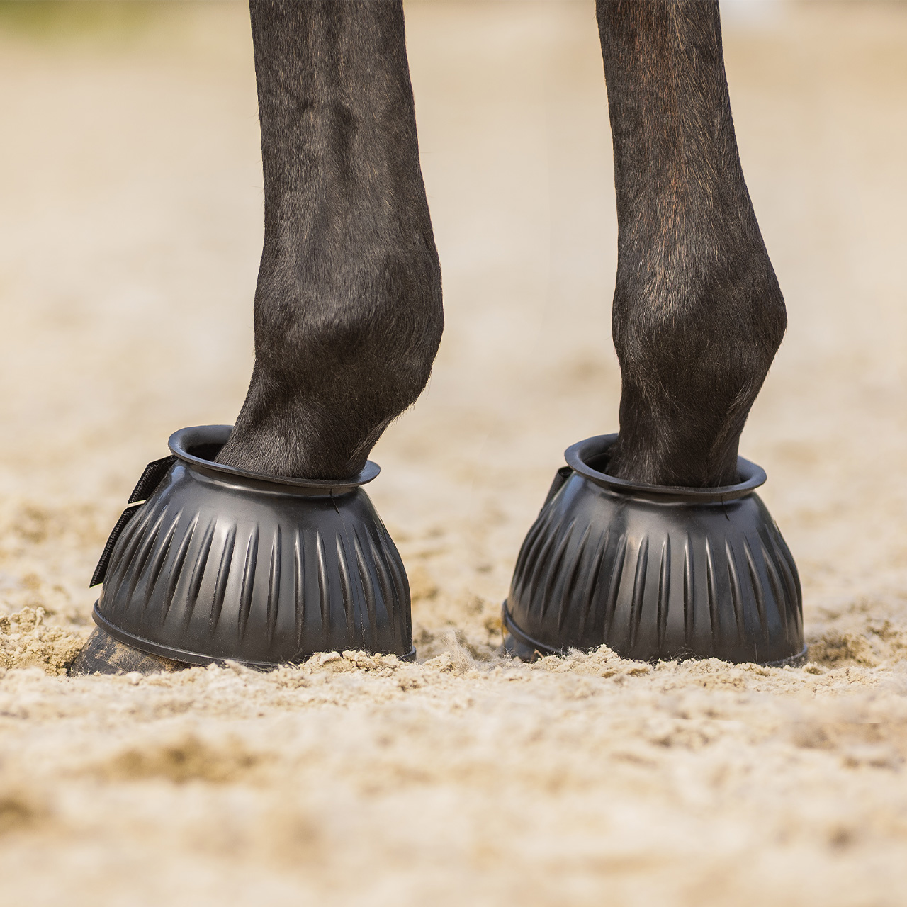 QHP Ribbed Rubber Bell Boot