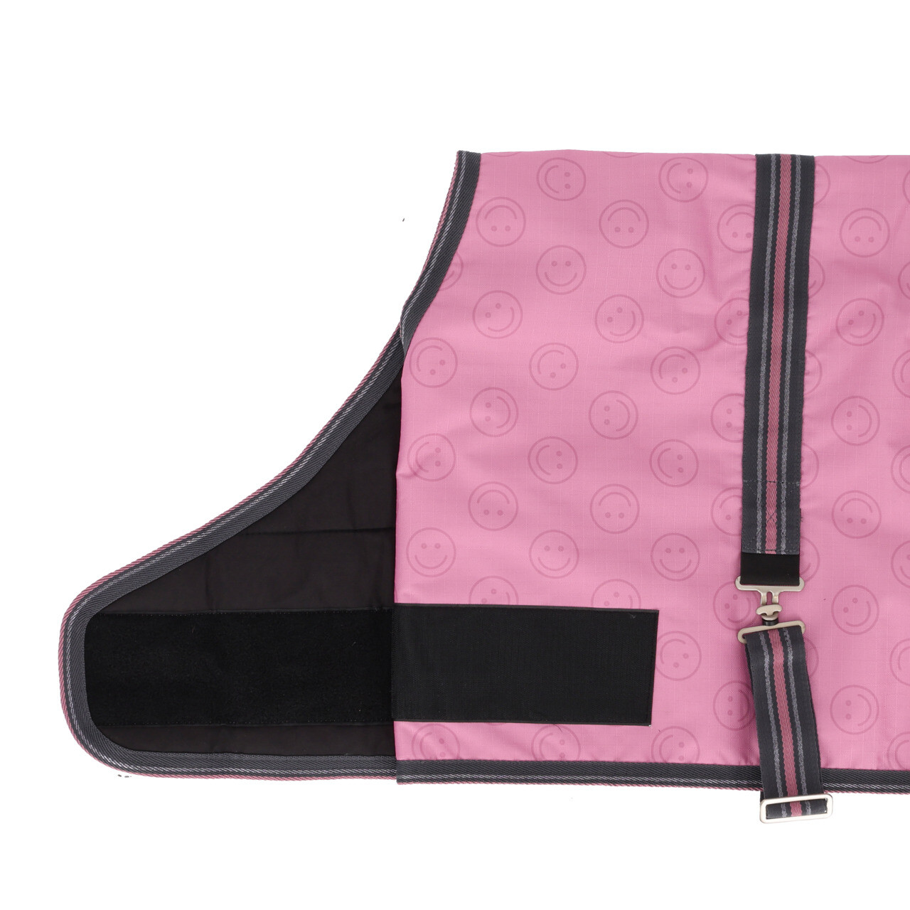 QHP Summer 2026 Collection Foal Turnout Rug