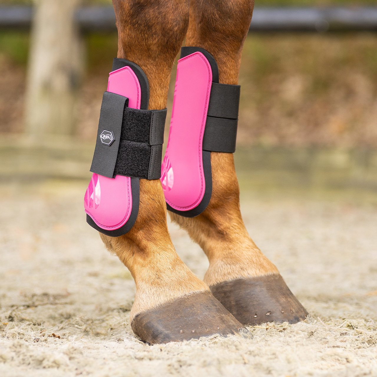 QHP Tendon Boots