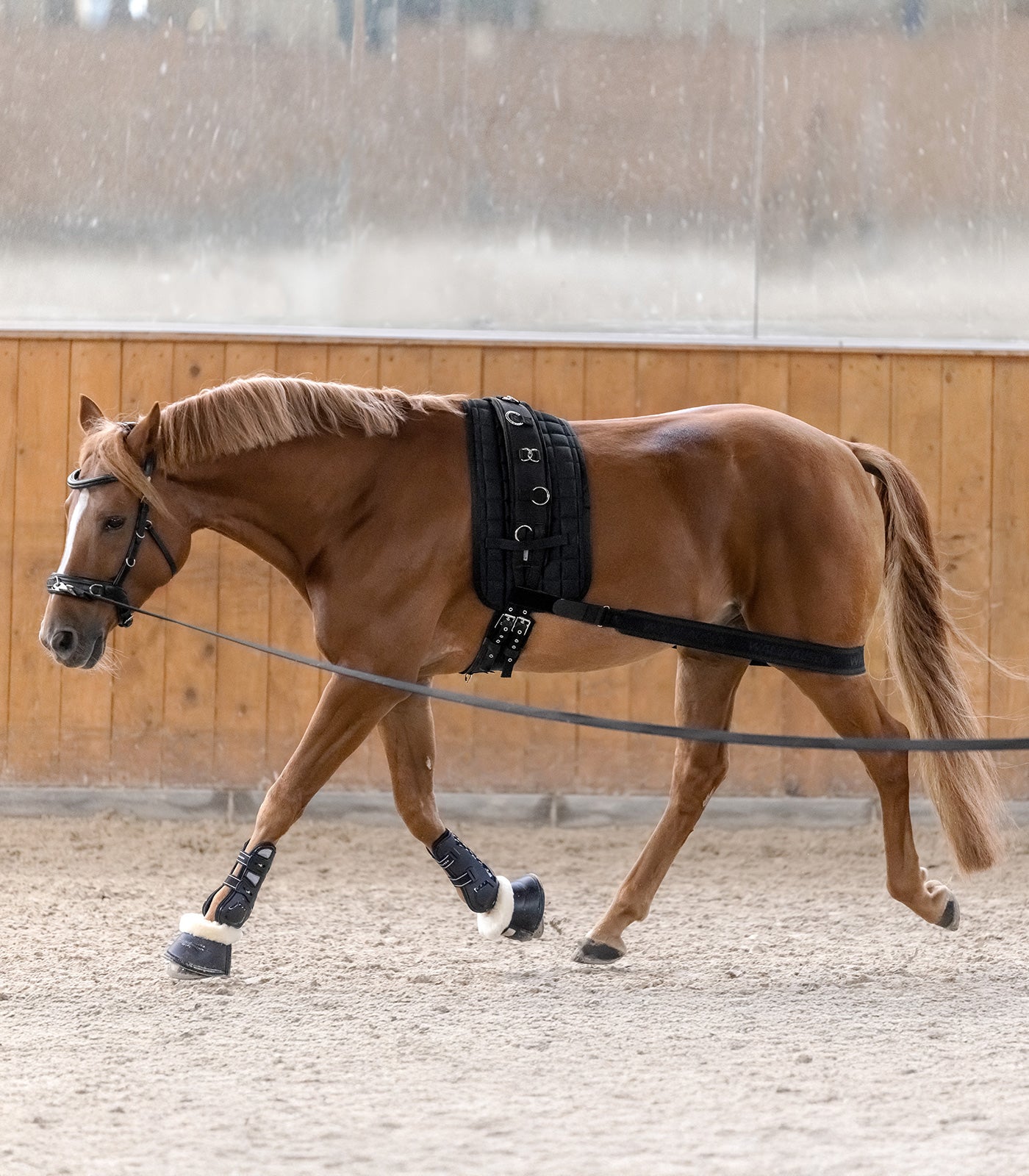 Waldhausen Body Bandage