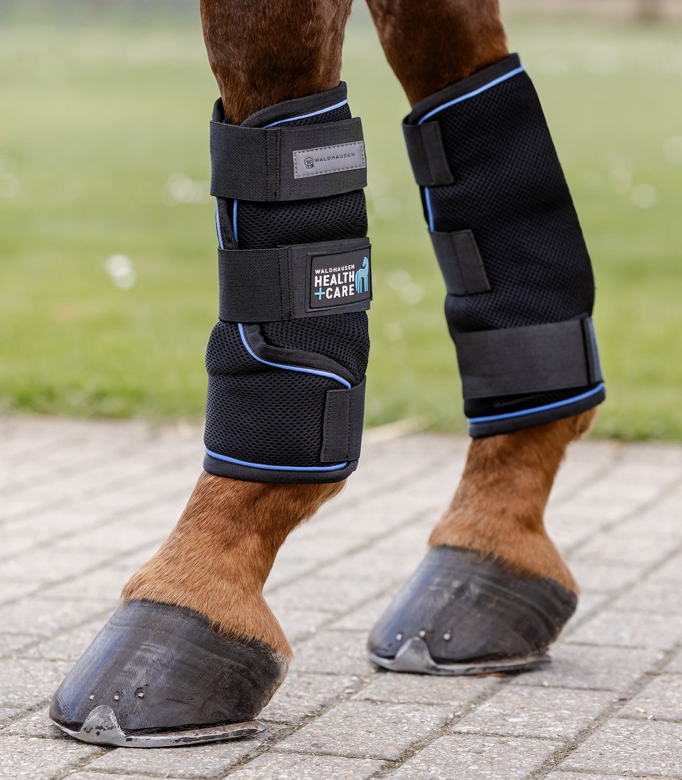 Waldhausen Health + Care Ice Layer Boot