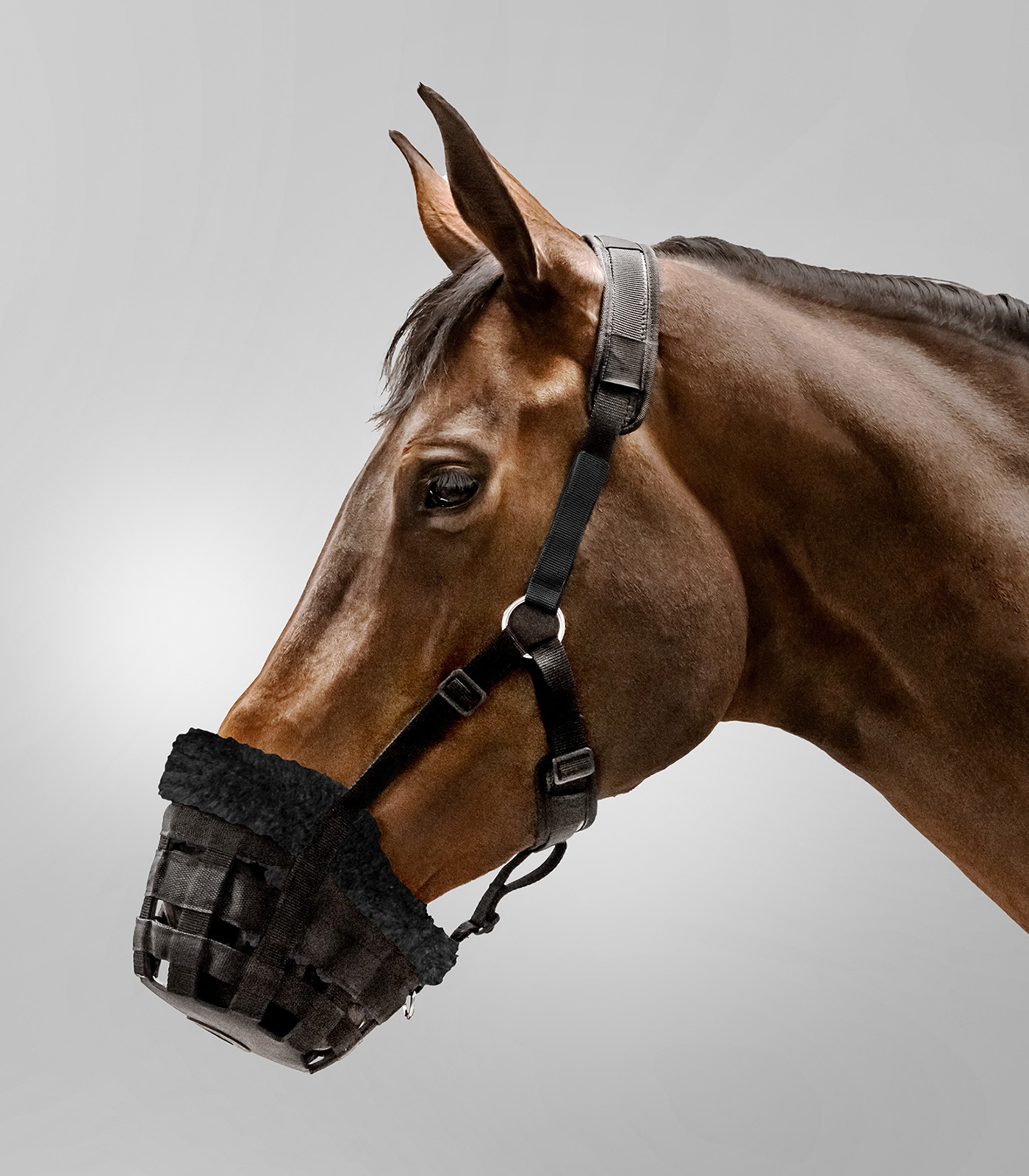 Waldhausen Comfort Muzzle