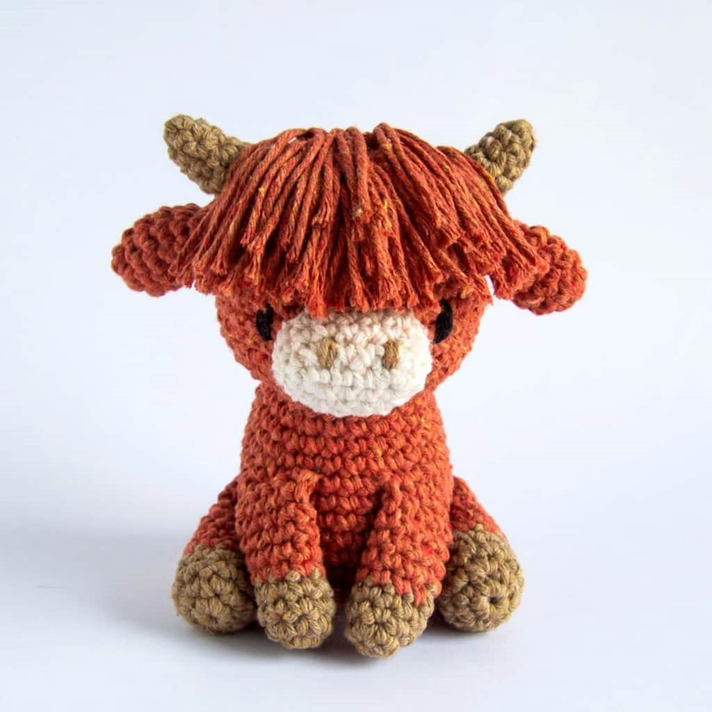 Yarn Kit - Aidan the Highland Cow